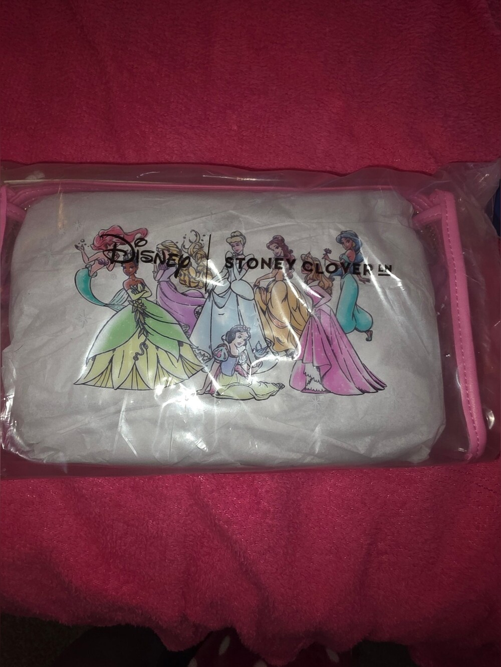 Stoney Clover X Disney Princess Large Travel Pouch NWT